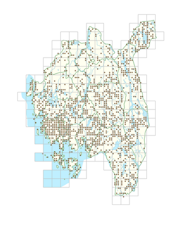 Plantago major subsp. major 1.png