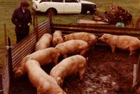 353. Plasser på Fiskum (oeb-201646).jpg