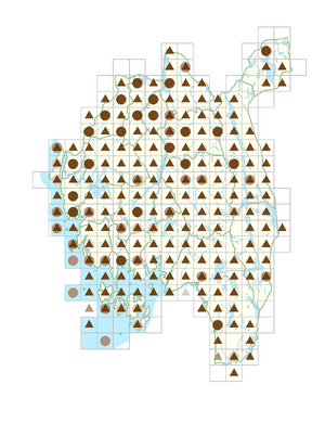 Polygonum aviculare.png