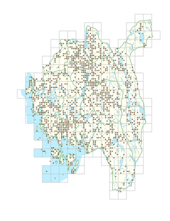 Polygonum aviculare 1.png
