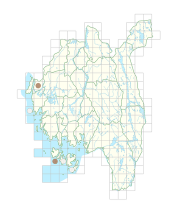 Polygonum oxyspermum.png