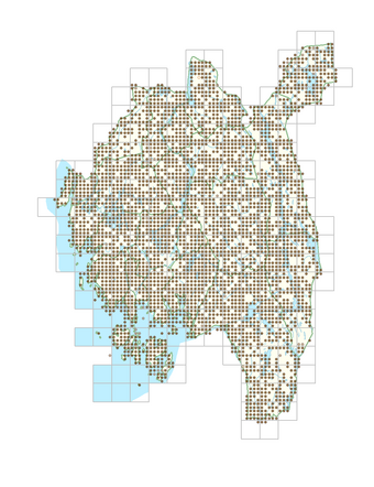Populus tremula 1.png