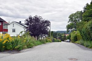 Porsgrunn, Gråbjørnvegen-1.jpg