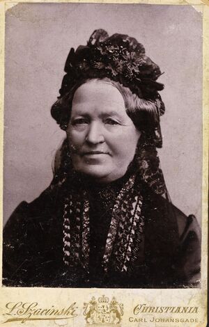 Portrett av Elise Bjørnson, 1887 - no-nb digifoto 20160720 00079 bldsa BB0105.jpg