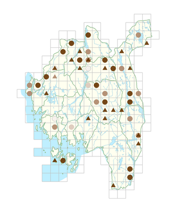 Potamogeton alpinus subsp. alpinus.png