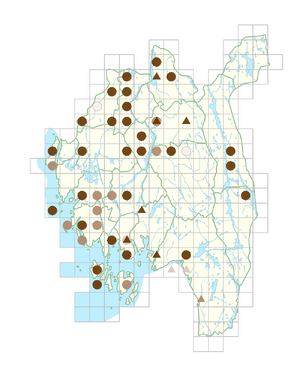 Potamogeton berchtoldii.png