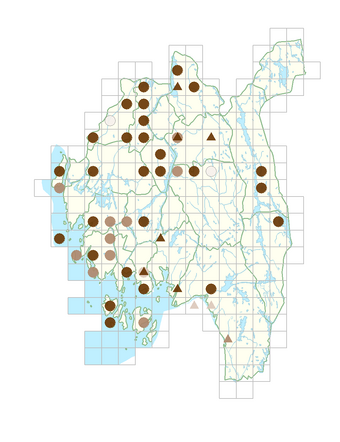 Potamogeton berchtoldii.png