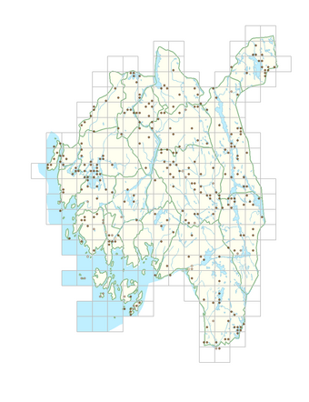 Potamogeton natans 1.png