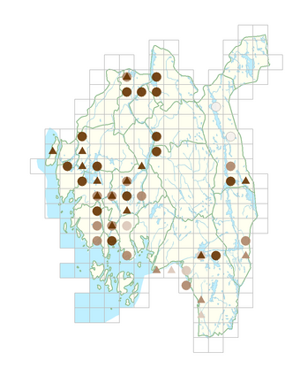 Potamogeton perfoliatus.png