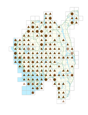 Potentilla anserina subsp. anserina.png