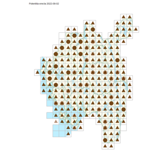 Potentilla erecta.png