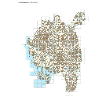 Potentilla erecta 1.png