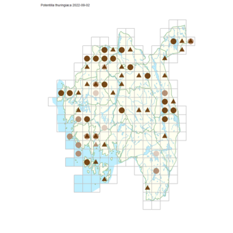 Potentilla thuringiaca.png