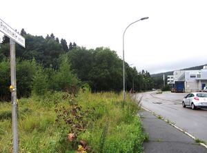 Pottemakerveien Oslo 2013.jpg
