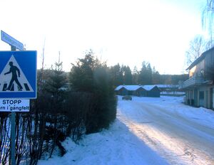 Prestegardsvikje Veggli 2014.jpg