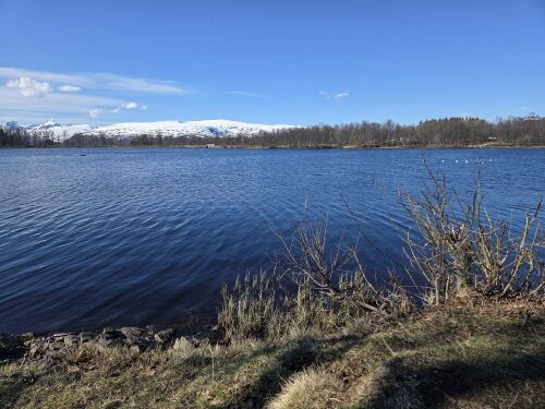 Prestvannet på en varm mai-dag