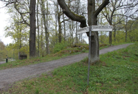 Krysset Prinsessan Ingeborg Väg/Prinsessan Märtas Väg på Djurgården i Stockholm. Märtha vokste opp i området. Foto: Håkon-Stein Korshavn
