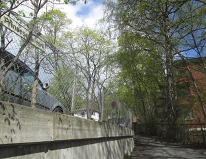 Prinsessealléen Oslo 2013.jpg