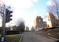Problemveien på Blindern går langs universitetsområdets vestre del. Foto: Stig Rune Pedersen