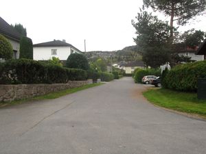 Professor Daaes gate Drammen 2015.jpg