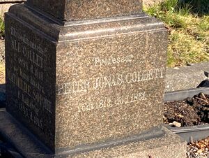 Professor Peter Jonas Collett gravminne.jpg