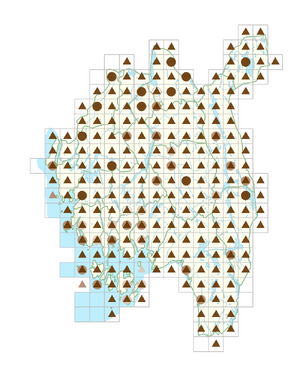 Prunella vulgaris.png