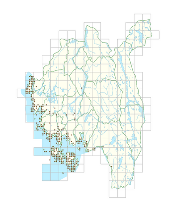 Prunus spinosa 1.png