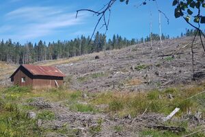 Pustut under Lier Kongsvinger kommune.jpg