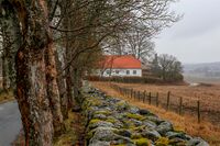 Et gammelt steingjerde går langs alléen ned til prestegården. Foto: Leif-Harald Ruud (2023).