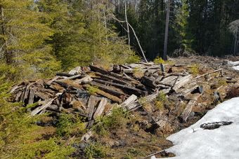Råliteigen under Stømner gnr. 33-13 Kongsvinger kommune.jpg