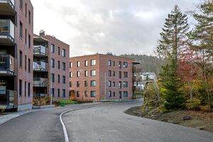 Rælingen Åslia 241021.jpg