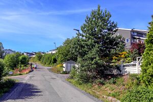 Rælingen Hegrevegen 250630.jpg
