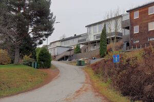 Rælingen Tangenvegen 251110.jpg