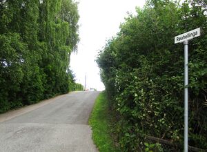 Røahellinga Oslo 2015.JPG