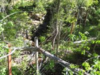 Gruvesjaktene ved Røkeberggruvene på Øvre Eiker er inngjerdet, og det hadde ellers vært vanskelig å få øye på dem på grunn av den tette vegetasjonen.