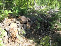 Mange av kulturminnene etter gruvedriften i Kramnbudalen er knapt nok synlige på grunn av vegertasjonen.