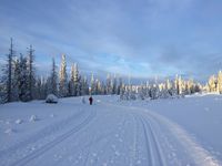 185. Rømåsen Ringsaker 2016.jpg