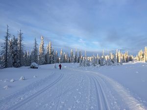 Rømåsen Ringsaker 2016.jpg