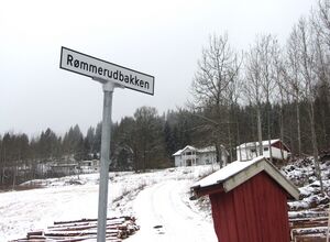 Rømmerudbakken Feiring 2014.jpg