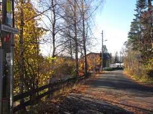 Røslyngveien Oslo 2013.jpg