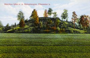 Raknehaugen Mittet.jpg