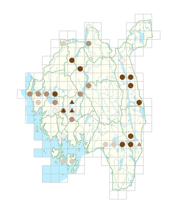 Ranunculus peltatus.png