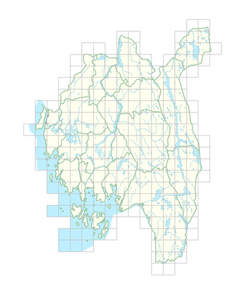 Rapistrum rugosum 1.png