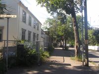 Rasmus Winderens vei går mellom Vinderen og Blindern. Foto: Stig Rune Pedersen