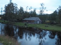 32. Raufoss andehus.JPG