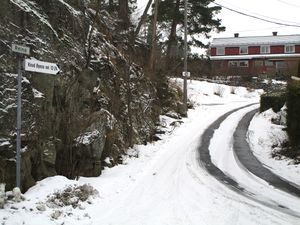 Reina vei i Oslo 2015.jpg