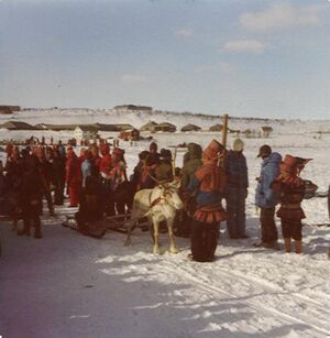 Reinkappkjøring Kautokeino.jpeg