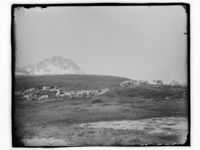 «Reinsdyr på en fjelltopp». Foto: Marthinius Skøien, ca. 1880–1910.
