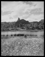 9. Reka - no-nb digifoto 20151125 00063 NB MIT FNR 08982.jpg