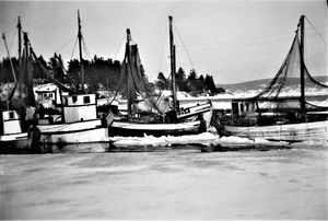 Reketrålere på Filtvet februar 1954.jpg